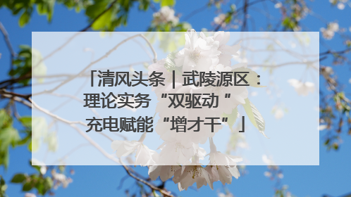 清风头条｜武陵源区：理论实务“双驱动 ” 充电赋能“增才干”