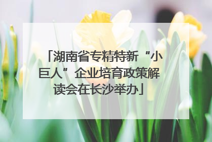 湖南省专精特新“小巨人”企业培育政策解读会在长沙举办