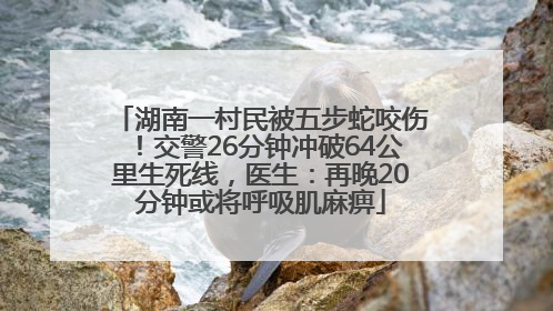 湖南一村民被五步蛇咬伤！交警26分钟冲破64公里生死线，医生：再晚20分钟或将呼吸肌麻痹