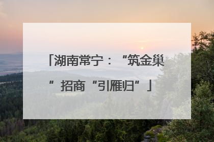 湖南常宁：“筑金巢”招商“引雁归”