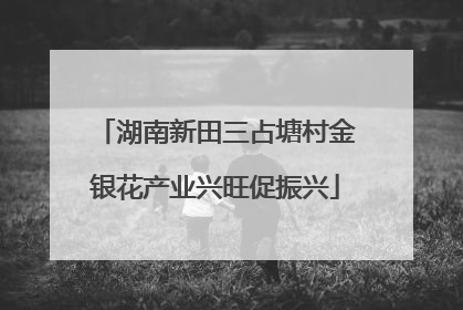 湖南新田三占塘村金银花产业兴旺促振兴