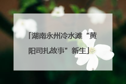 湖南永州冷水滩“黄阳司扎故事”新生