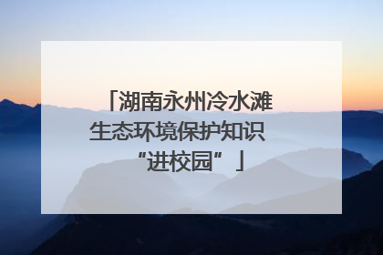 湖南永州冷水滩生态环境保护知识“进校园”