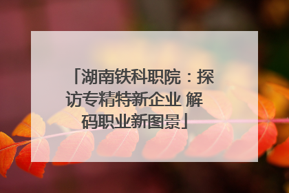 湖南铁科职院：探访专精特新企业 解码职业新图景