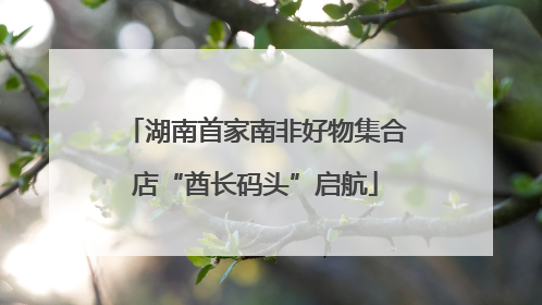 湖南首家南非好物集合店“酋长码头”启航