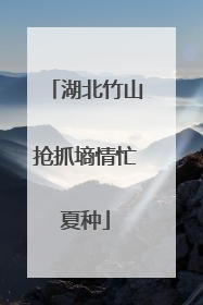 湖北竹山抢抓墒情忙夏种