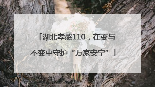 湖北孝感110，在变与不变中守护“万家安宁”