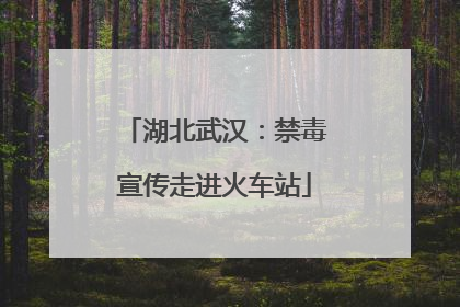 湖北武汉：禁毒宣传走进火车站