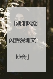 湖湘风潮闪耀深圳文博会