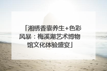 湘绣香囊养生+色彩风暴：梅溪湖艺术博物馆文化体验盛宴