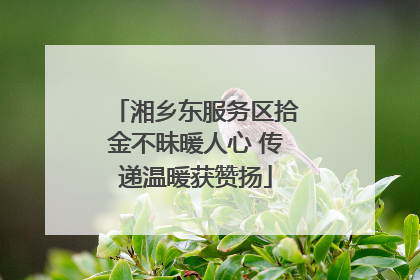 湘乡东服务区拾金不昧暖人心 传递温暖获赞扬