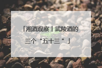 湘酒观察丨武陵酒的三个“五十三 ”