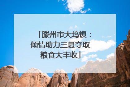 滕州市大坞镇：倾情助力三夏夺取粮食大丰收