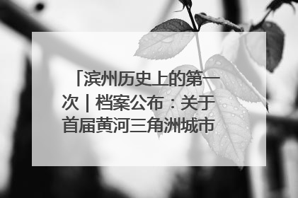 滨州历史上的第一次｜档案公布：关于首届黄河三角洲城市经济博览会暨发展论坛情况的总结报告