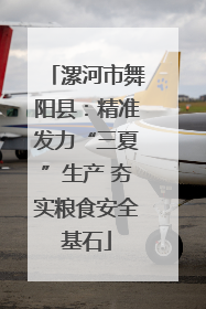漯河市舞阳县：精准发力“三夏”生产 夯实粮食安全基石