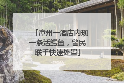 漳州一酒店内现一条活鳄鱼，警民联手快速处置