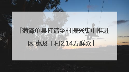 菏泽单县打造乡村振兴集中推进区 惠及十村2.14万群众