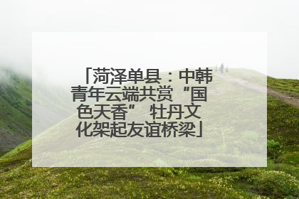 菏泽单县：中韩青年云端共赏“国色天香” 牡丹文化架起友谊桥梁