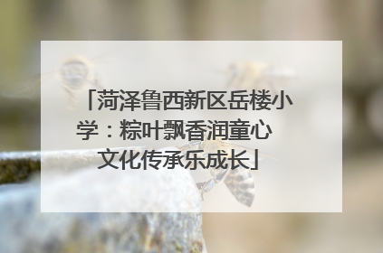菏泽鲁西新区岳楼小学：粽叶飘香润童心 文化传承乐成长