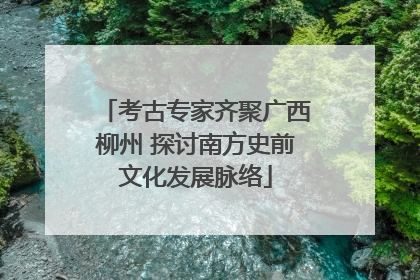 考古专家齐聚广西柳州 探讨南方史前文化发展脉络