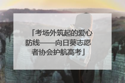 考场外筑起的爱心防线——向日葵志愿者协会护航高考