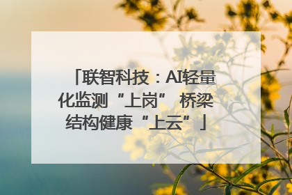 联智科技：AI轻量化监测“上岗” 桥梁结构健康“上云”