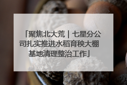 聚焦北大荒｜七星分公司扎实推进水稻育秧大棚基地清理整治工作
