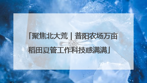 聚焦北大荒｜普阳农场万亩稻田夏管工作科技感满满