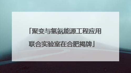 聚变与氢氨能源工程应用联合实验室在合肥揭牌