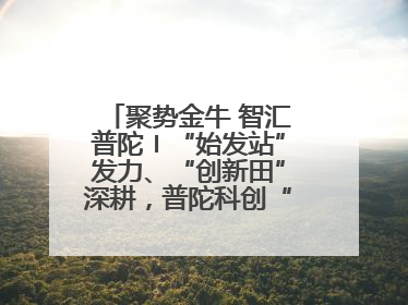 聚势金牛 智汇普陀〡“始发站”发力、“创新田”深耕，普陀科创“金牛”闪耀
