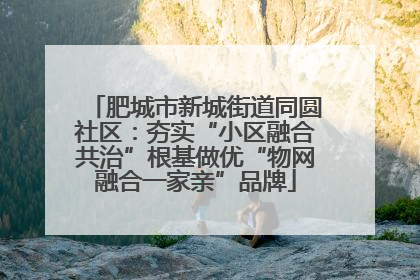 肥城市新城街道同圆社区：夯实“小区融合共治”根基做优“物网融合一家亲”品牌