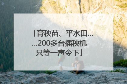 育秧苗、平水田……200多台插秧机只等一声令下
