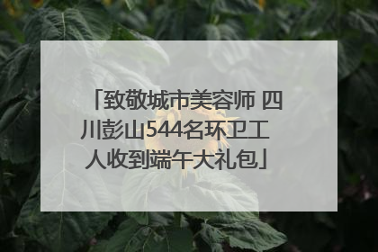 致敬城市美容师 四川彭山544名环卫工人收到端午大礼包