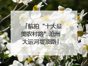 航拍“十大最美农村路”沧州大运河堤顶路