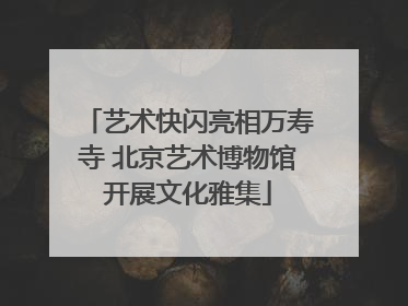 艺术快闪亮相万寿寺 北京艺术博物馆开展文化雅集