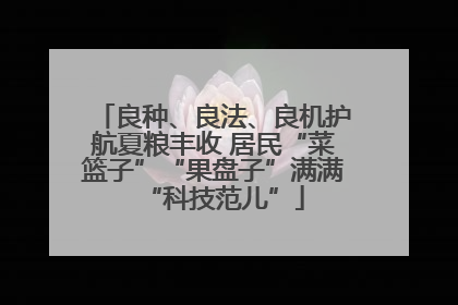 良种、良法、良机护航夏粮丰收 居民“菜篮子”“果盘子”满满“科技范儿”