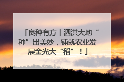 良种有方丨泗洪大地“种”出美妙，铺就农业发展金光大“稻”！