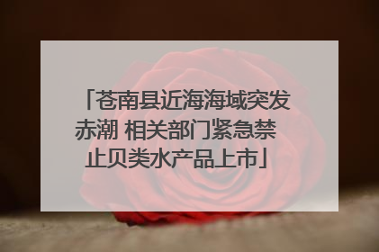 苍南县近海海域突发赤潮 相关部门紧急禁止贝类水产品上市