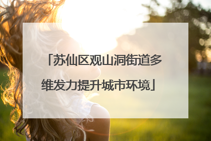苏仙区观山洞街道多维发力提升城市环境