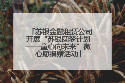 苏银金融租赁公司开展“苏银圆梦计划——童心向未来”微心愿捐赠活动