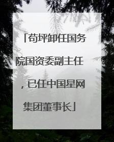 苟坪卸任国务院国资委副主任，已任中国星网集团董事长