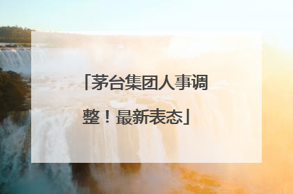茅台集团人事调整！最新表态
