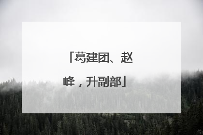 葛建团、赵峰，升副部