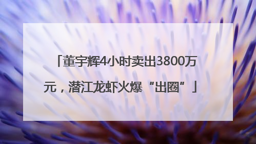 董宇辉4小时卖出3800万元，潜江龙虾火爆“出圈”
