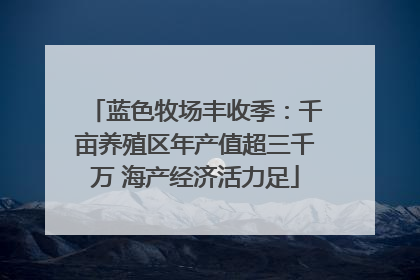 蓝色牧场丰收季：千亩养殖区年产值超三千万 海产经济活力足