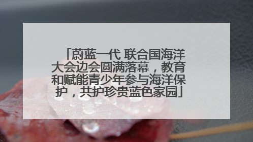 蔚蓝一代 联合国海洋大会边会圆满落幕，教育和赋能青少年参与海洋保护，共护珍贵蓝色家园