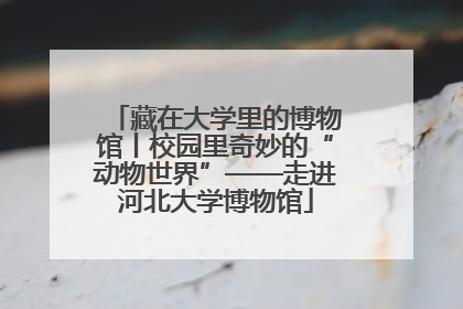 藏在大学里的博物馆丨校园里奇妙的“动物世界”——走进河北大学博物馆