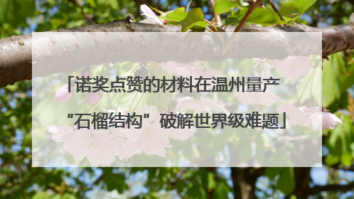 诺奖点赞的材料在温州量产 “石榴结构”破解世界级难题