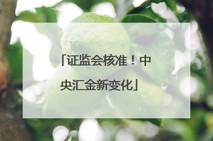 证监会核准！中央汇金新变化