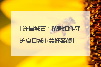 许昌城管：精耕细作守护夏日城市美好容颜